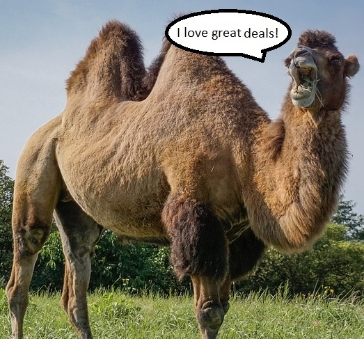 camel camel.camel